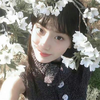 晴晚之林