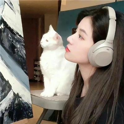 奔驰的撒哈拉